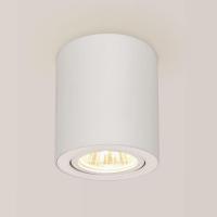 Накладной светильник Citilux CL538111