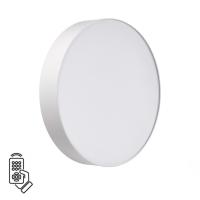 Накладной светильник Sonex 7779/DL