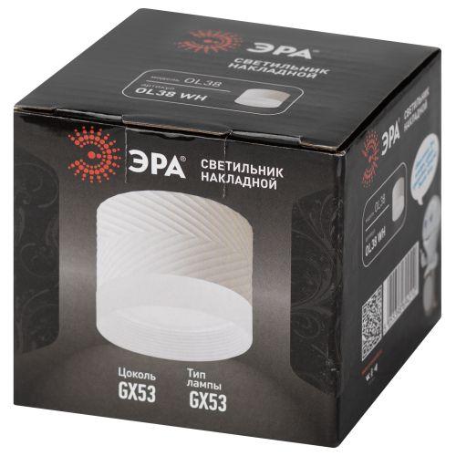 Светильник OL38 WH GX53 IP20 настенно-потолочный спот бел. ЭРА Б0056387