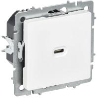 Розетка СП BRITE РЮ12-1-БрАБ USB C 65Вт высокоскор. заряд. арктич. бел. IEK BR-U13-065-K91