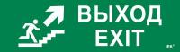 Этикетка самоклеящаяся 310х90мм "Выход/лестница вверх/фигура" IEK LPC10-1-31-09-VLVVF