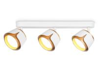 Спот Ambrella Light TN71235