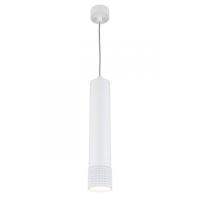 Подвесной светильник APLOYT APL.012.06.10