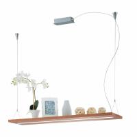 Подвесной светильник EGLO 39328