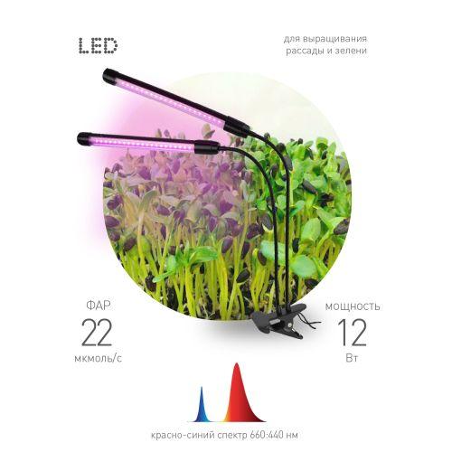 Светильник светодиодный FITO-20W-АLED-N 12Вт для растений красн./син. спектр на прищепке черн. Эра Б0053059