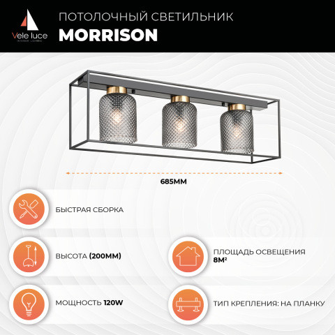 Накладной светильник Vele Luce VL5472L03