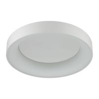 Накладной светильник Odeon Light 4062/50CL