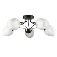 Накладная люстра ARTE Lamp A2706PL-5CK