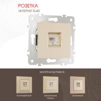 Розетка Arte Milano 203.45-1.shampan