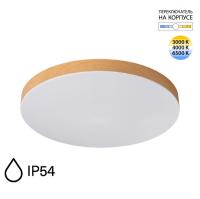 Накладной светильник Sonex 7761/50L