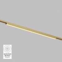 Светильник на шине Denkirs DK5752-SB