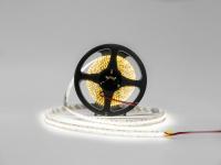 Лента SWG SWG20240-12-24-WW-M