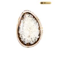 Бра MODELUX MS.2311.01 GD