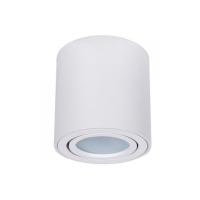 Накладной светильник ARTE Lamp A1513PL-1WH