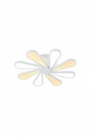 Накладной светильник Lucia Tucci Miracoli 201.8 LED