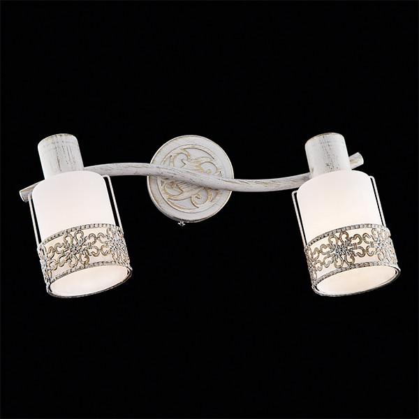 Спот Eurosvet 20025/2 белый с золотом