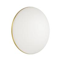 Накладной светильник Sonex 3043/AL