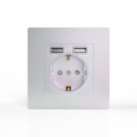 Розетка 1-м СП Pixel IP20 с заземл. с 2-мя заряд. устр. USB тип A+A механизм перламутр. TOKOV ELECTRIC TKE-PX-R1U2A-C04