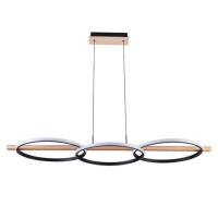 Подвесной светильник ARTE Lamp A3913SP-24BK