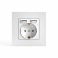 Розетка 1-м СП Pixel IP20 с заземл. с 2-мя заряд. устр. USB тип A+A механизм бел. TOKOV ELECTRIC TKE-PX-R1U2A-C01