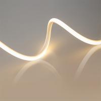 Лента Arlight 024289(2)