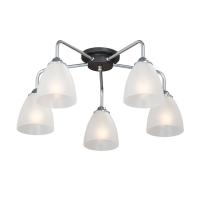 Накладная люстра Vitaluce V4500-9/5PL