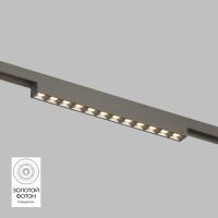 Светильник на шине Denkirs DK5771-DN