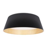 Накладной светильник LOFT IT 10224 Black