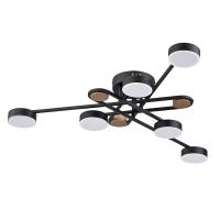 Накладная люстра ARTE Lamp A2455PL-6BK