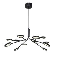 Подвесная люстра F-Promo 4252-12P