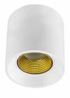 Накладной светильник Denkirs DK3090-WH+YE