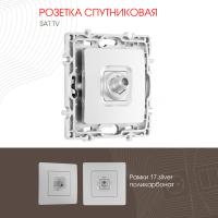 Розетка Arte Milano 217.42-1.silver