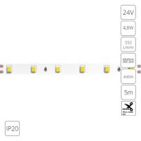 Лента ARTE Lamp A2406008-02-4K