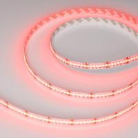 Лента светодиодная CSP-X840-12mm 24V RGBW-Warm 17.2Вт/м IP20 (уп.5м) Arlight 046937