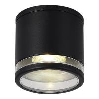 Накладной уличный светильник ST-Luce SL9009.402.01
