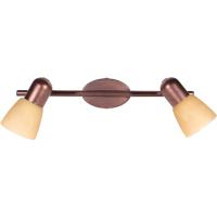 Спот TOPLIGHT TL1235Y-02AB