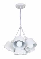 Подвесной светильник F-Promo 1681-6P