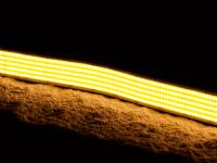 Лента SWG pro SWG-COB1600-24-40-WW