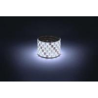 Лента светодиодная LS5050 -14.4-60-12-6500K-IP65-1 year-5m холод. бел. (уп.5м) Эра Б0059914