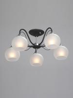 Накладная люстра Vitaluce V3948-1/5PL