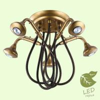 Накладная люстра Lussole GRLSP-9755