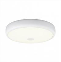 Накладной светильник Citilux CL706330