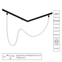 Светильник на шине ARTE Lamp A4911PL-1BK