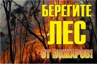 Знак "Берегите лес от огня!" 1200х800мм EKF zn-1-02