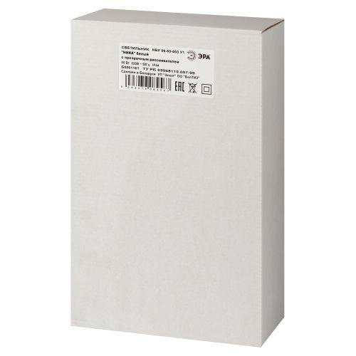 Светильник садово-парковый НБУ 06-60-003 Ника 60Вт бел. прозр. Эра Б0061161