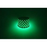 Лента светодиодная LS5050 -14.4-60-12-G-IP20-1 year-5m зел. (уп.5м) Эра Б0059920