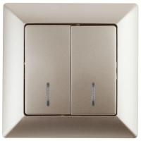 Выключатель 2-кл. СП Solo 4-105-04 10А IP20 250В с подсветкой шампань Intro Б0053596