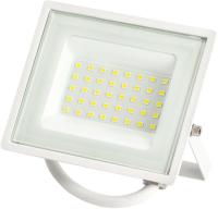 Прожектор светодиодный LPR-023-W-65K-030 30Вт 6500К 2400Лм IP65 уличный бел. ЭРА Б0054641