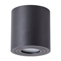 Влагозащищенный светильник ARTE Lamp A1460PL-1BK