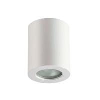 Влагозащищенный светильник Odeon Light 3571/1C